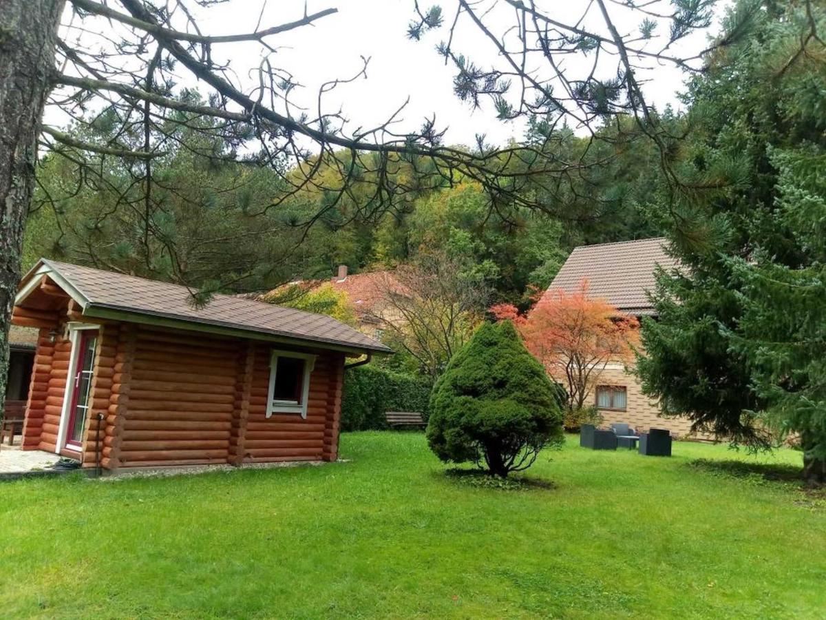 Апартаменти Haus Am Wolfsbach Zorge Екстер'єр фото